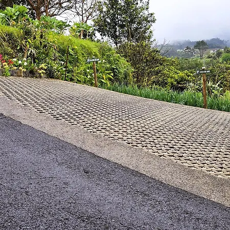 Casa Do Avo Σπίτι διακοπών Santana (Madeira)